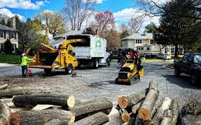 Best Aeration Services  in Eaton Estates, OH